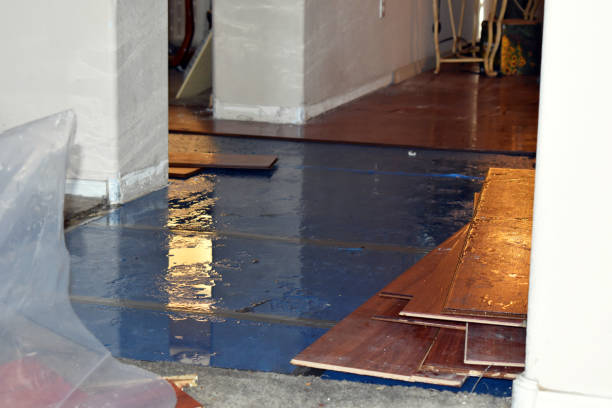 Professional Basement Flood Cleanup technician working in Brookside, NJ